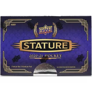 2020/21 Upper Deck Stature Hockey Hobby 16 Box Case