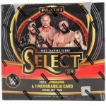 2024 Panini Select WWE Hobby Box