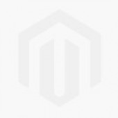 2025 Panini Select Baseball Hobby Box